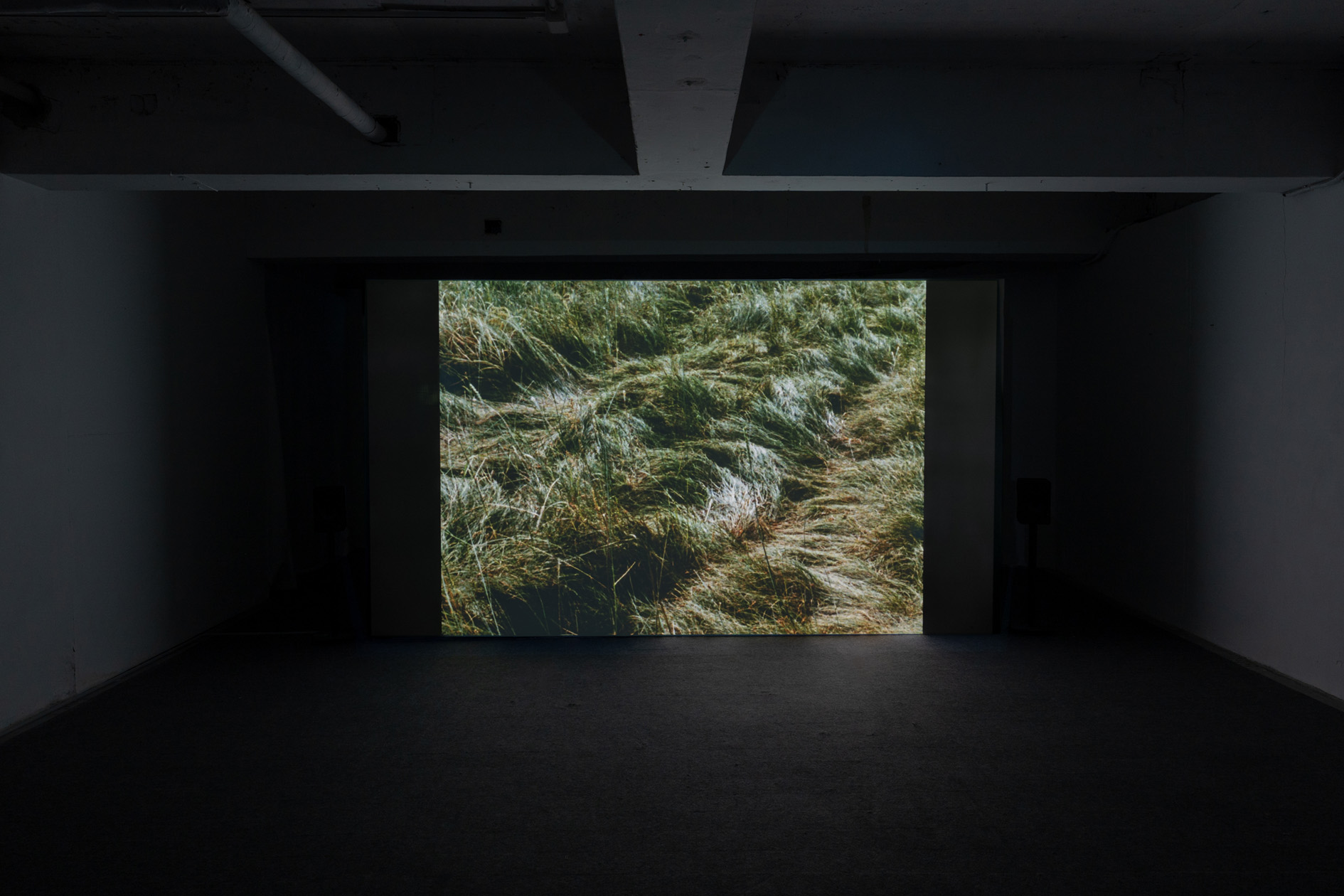 2024_bivaf_selection_relief relief (3)_small